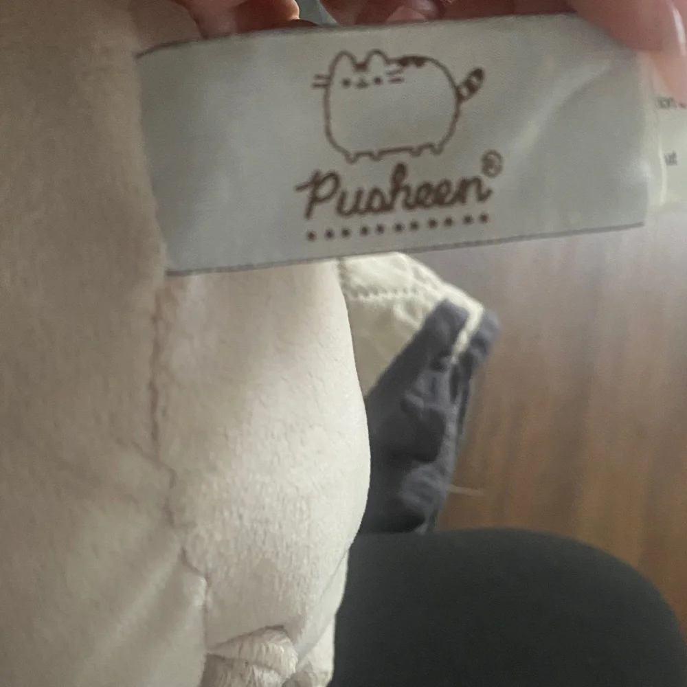 Pusheen Cool Gray Cat Plush with Sunglasses